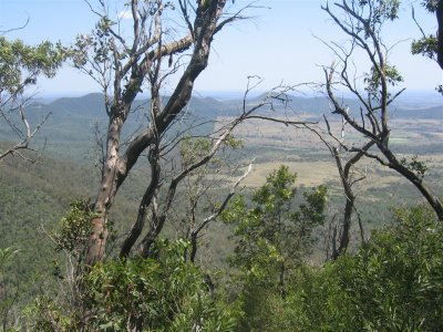 BBW Bunya Mountains Base Camp 017.jpg