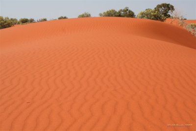 Outback 2007 - Windorah Red Sand Hills
