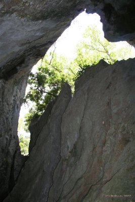 Rockhampton Capricorn Caves 012.jpg