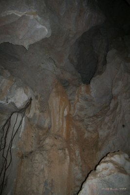Rockhampton Capricorn Caves 023.jpg