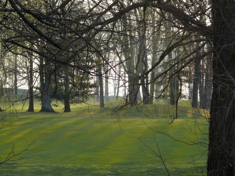 golf course behind our house