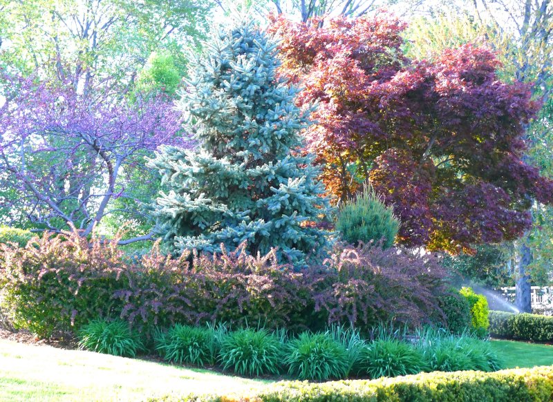 ornamental garden