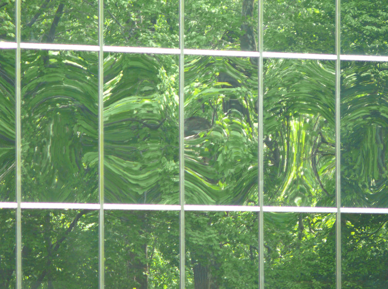 the green of spring time reflected in this office building windows