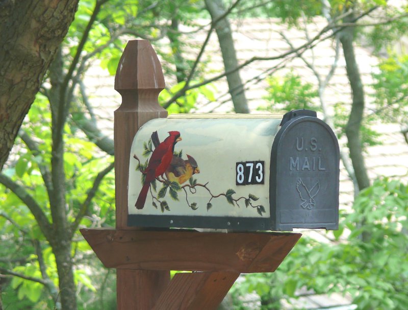 cardinal