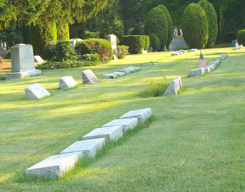 neatly laid out