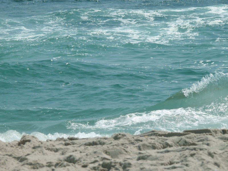 surfs up