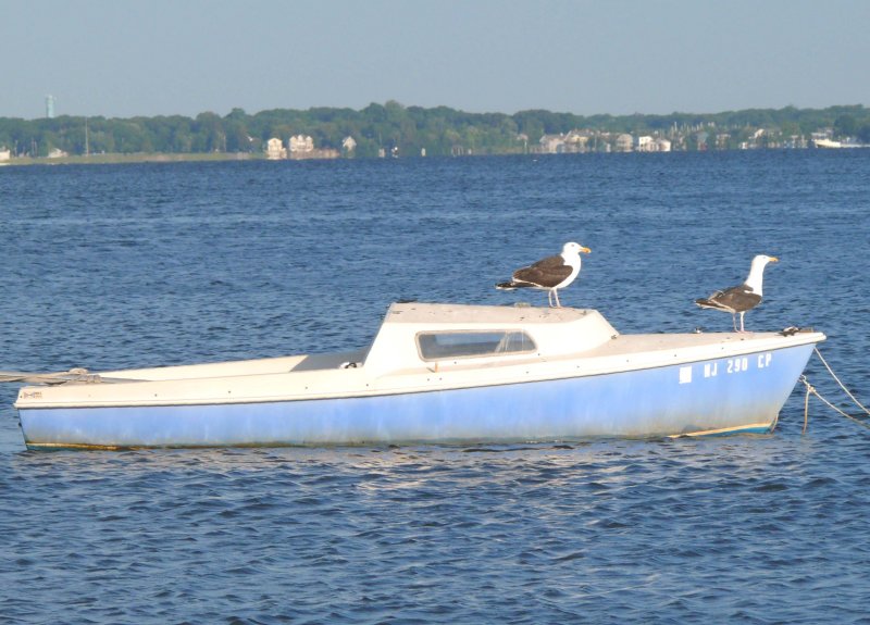 mr and mrs nelson seagull on their yacht
