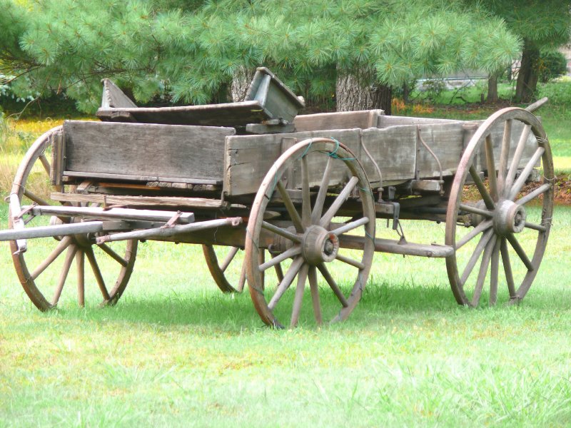 wagon