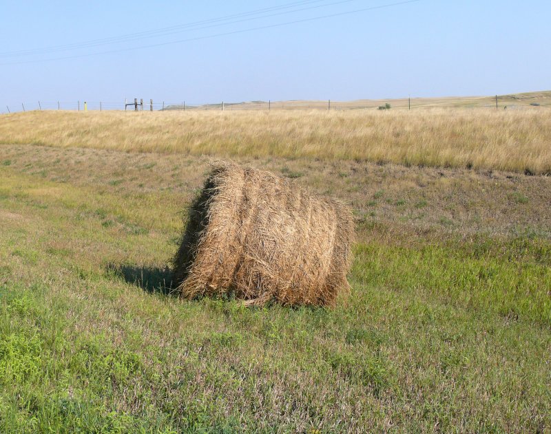 hay bale