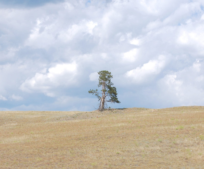 standing alone