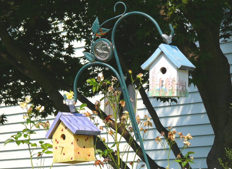 stylish birdhouses