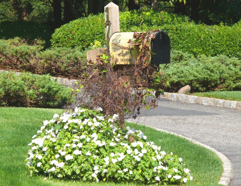 more than just a mailbox