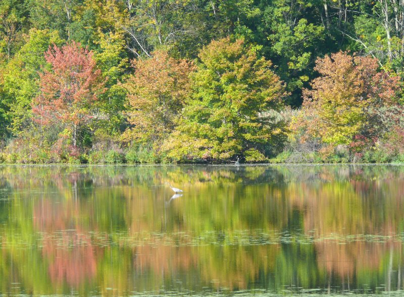 layered reflection
