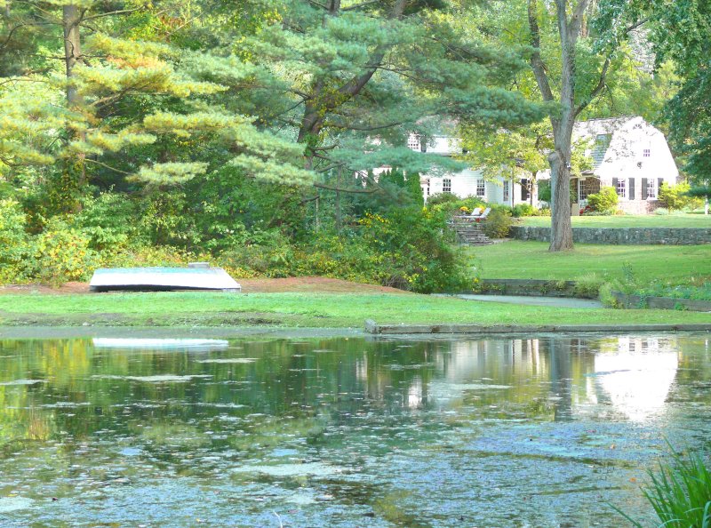 rose garden pond reflected