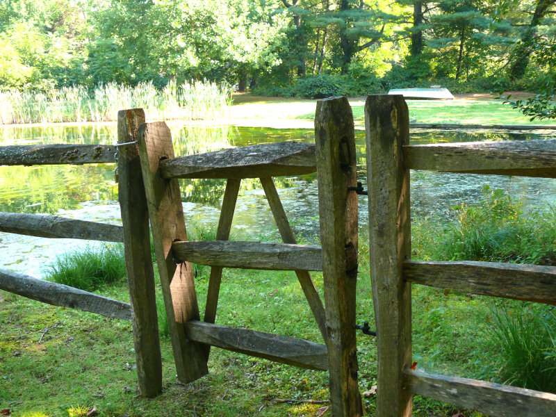 fence