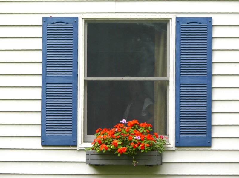 blue shutters