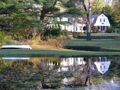 idyllic reflection