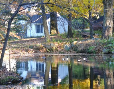white reflection