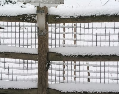 snowy fence