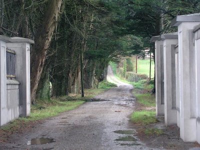 through the gate, Ireland