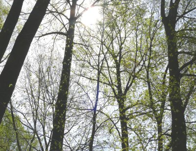 looking up