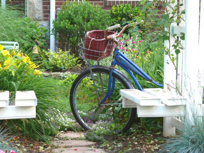 bicycle between the flowers