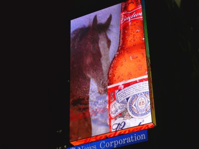 bud billboard