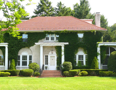 ivy-clad house