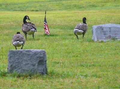 visiting the grave