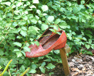magical shoes in an enchanted garden