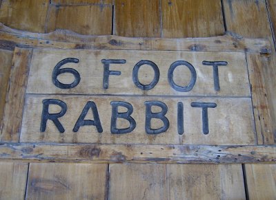 six foot rabbit