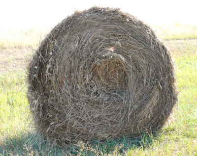 sideways anatomy of a haybale