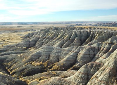 black hills in the badlands