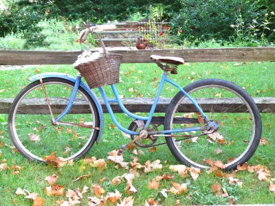 blue bicycle