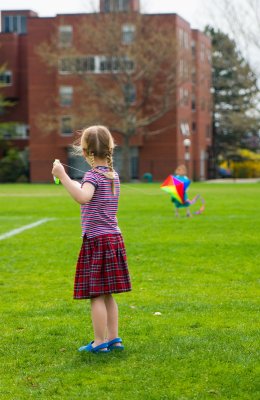 Fly Kites