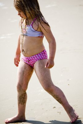Santa Monica State Beach