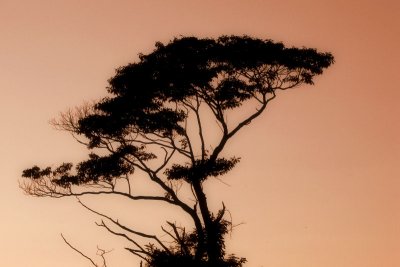g6/16/721416/3/69318360.Z57ZEhtK.jpg