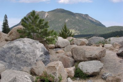 g6/16/721416/3/80945645.gr197mPr.jpg