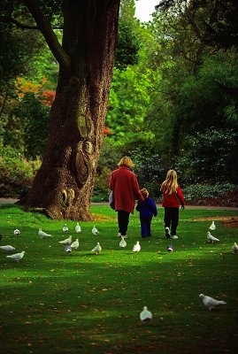 A Walk in the Park