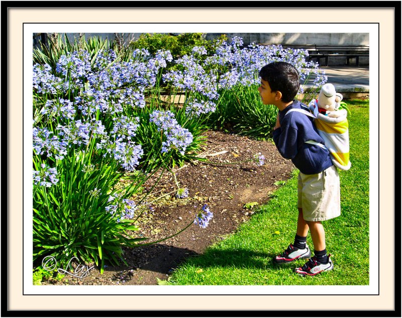 Ananth&Flowers