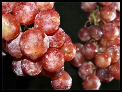 Grapes by Lux-mirror.jpg