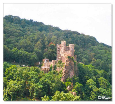 Rhine Cruise & Vineyard Tour