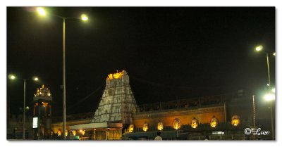 Gopuram-Night view