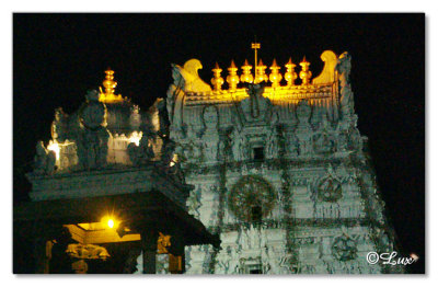 Gopuram-Night