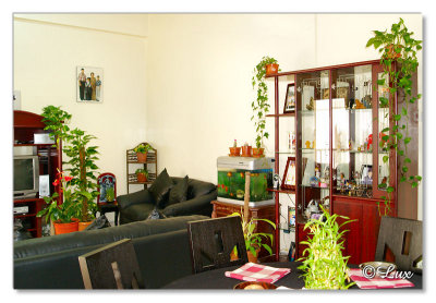Indoor Plants