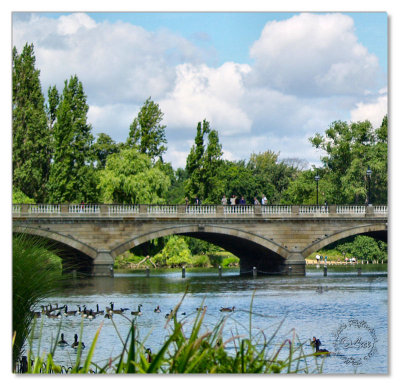 Birds-Hyde Park