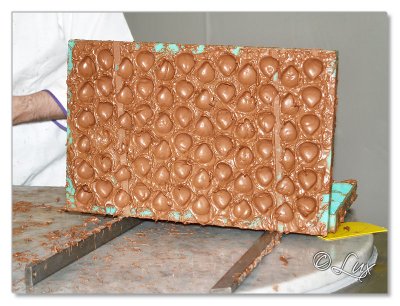 Hand Made Chocolate Demo (12).JPG