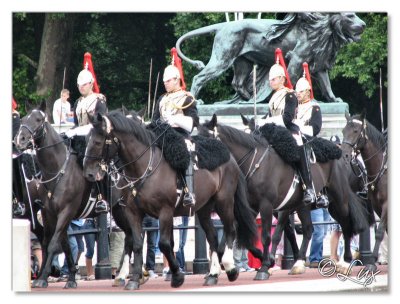 Changing Of The Guard