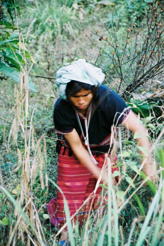 img024.jpg