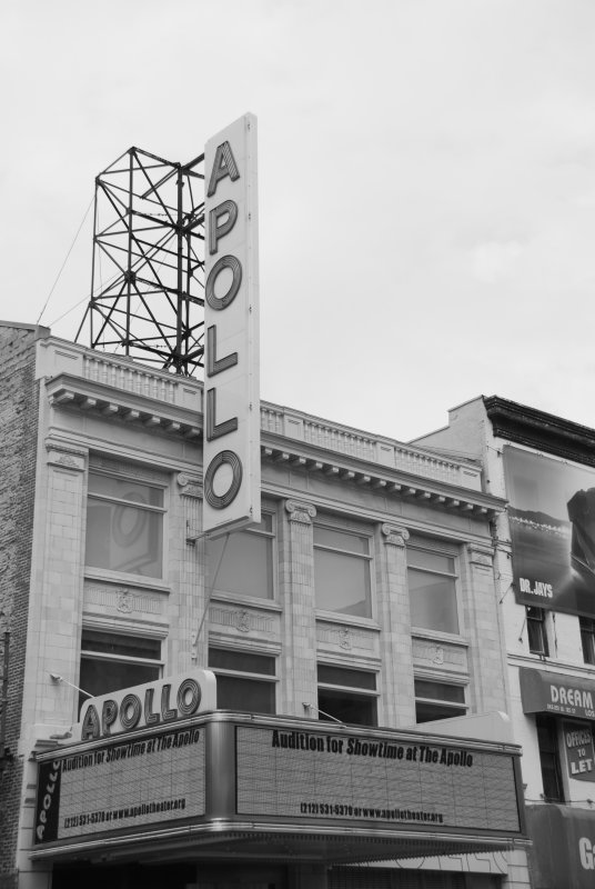 DSC_0775.JPG